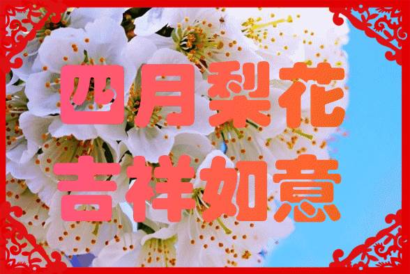 明日元旦祝福语（最新早上好朋友问候）