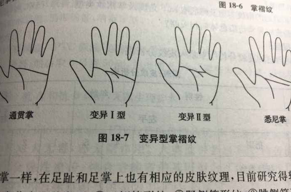 为什么不能随便看手相 看手相会泄露个人隐私吗