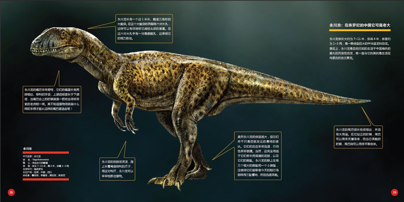 中国十大最厉害的食肉恐龙排名榜最新盘点-图片9