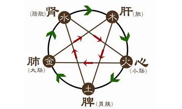 五行与五脏的对应关系 五脏对应五行口诀