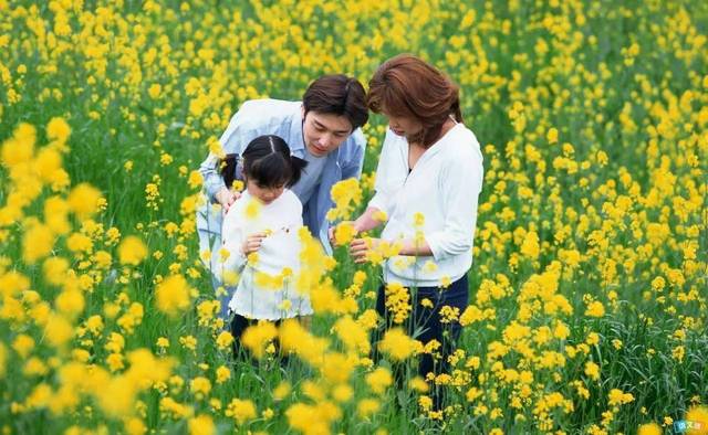 踏青是哪个节气的活动 踏青要干什么