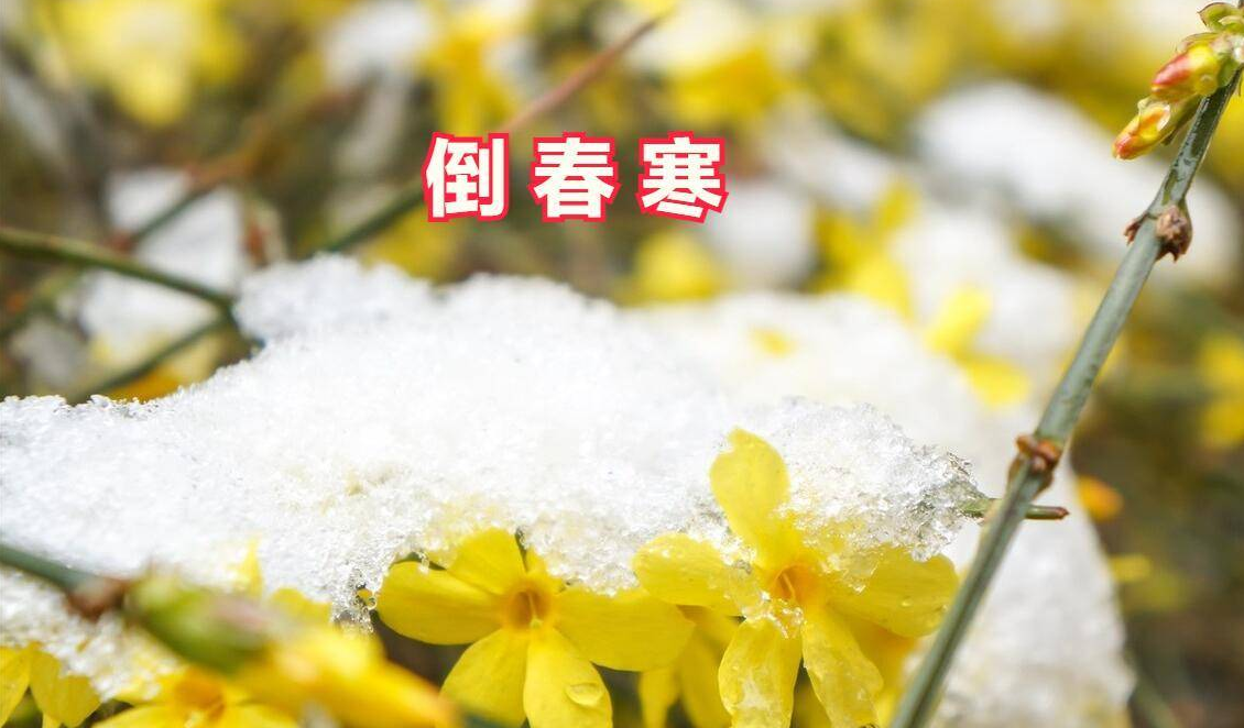 倒春寒是什么意思 二月倒春寒啥意思