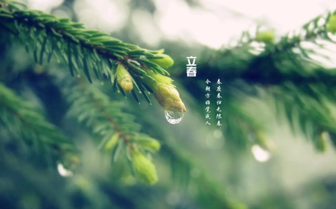 雨水之前的节气是什么 雨水前面是什么节气-图片2