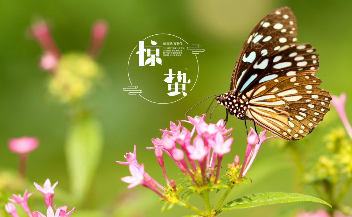 雨水之前的节气是什么 雨水前面是什么节气-图片3