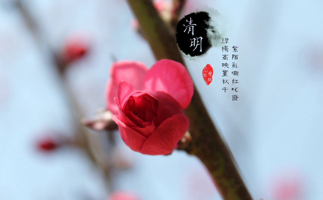 清明上坟带什么供品最好 上坟必备三种水果-图片2