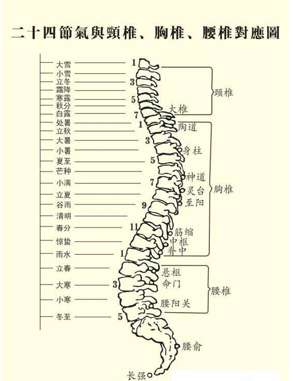 24节气和人身体的关系 24节气代表人身体哪个部位-图片2