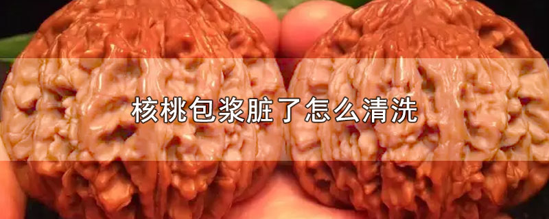 核桃包浆脏了怎么清洗