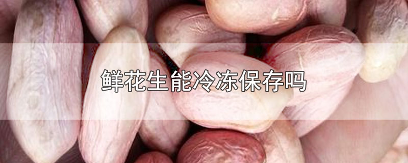 鲜花生能冷冻保存吗