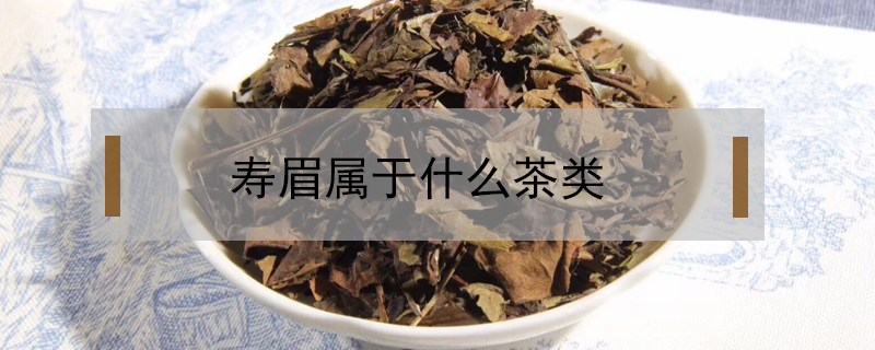 寿眉属于什么茶类