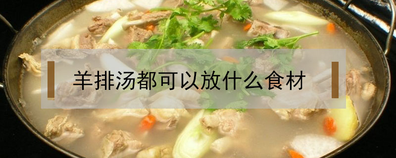 羊排汤都可以放什么食材