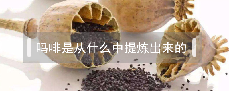 吗啡是从什么中提炼出来的