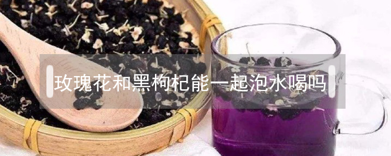 玫瑰花和黑枸杞能一起泡水喝吗