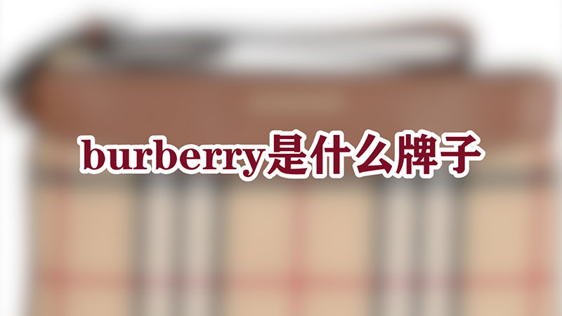 burberry是什么牌子-图片1