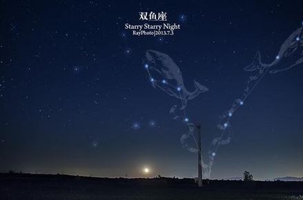 2月份出生的人是什么星座?-图片2