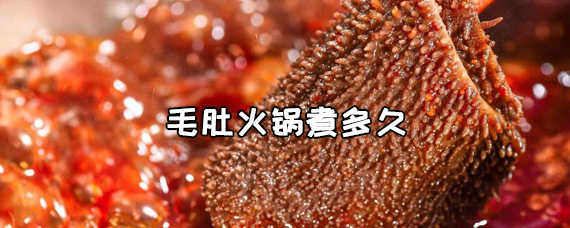 毛肚火锅需要煮多长时间?