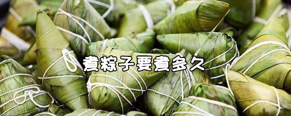 煮粽子要煮多久