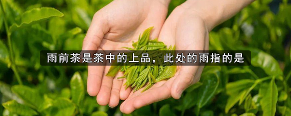 雨前茶是茶中的上品，雨指的是什么意思？