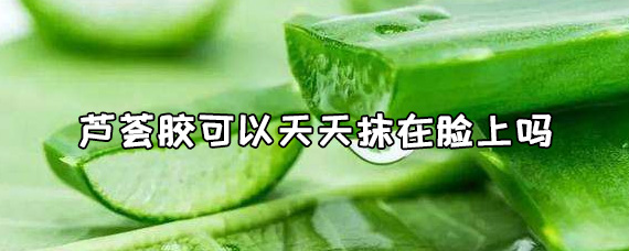 芦荟胶可以天天抹在脸上吗