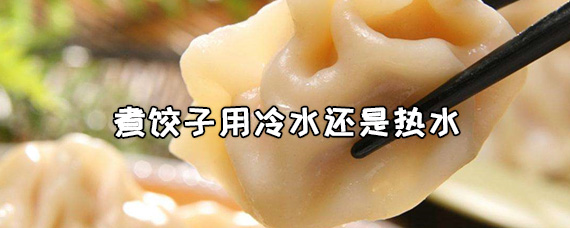 煮饺子用冷水还是热水