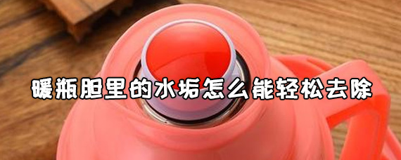暖瓶胆里的水垢怎么能轻松去除