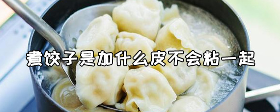 煮饺子是加什么皮不会粘一起 煮饺子不破皮的方法