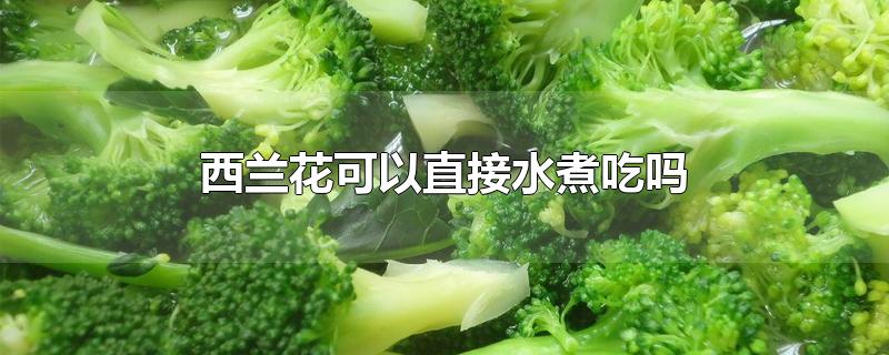 西兰花可以直接水煮吃吗 西兰花焯水几分钟能熟