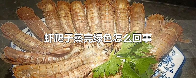 虾爬子蒸完绿色怎么回事 虾爬子什么季节最肥