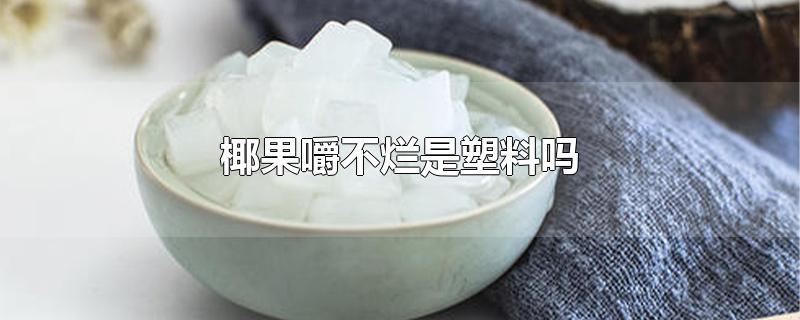 椰果嚼不烂是为什么？椰果嚼不烂是塑料吗？