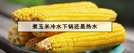 煮玉米冷水下锅还是热水 煮玉米需要多长时间