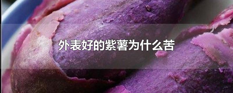 外表好的紫薯为什么苦？紫薯很苦怎么回事？