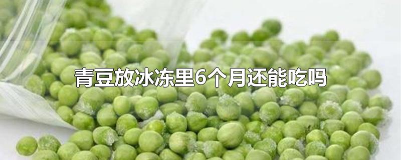 青豆放冰冻里6个月还能吃吗？冷冻了几个月的青豆还可以吃吗？