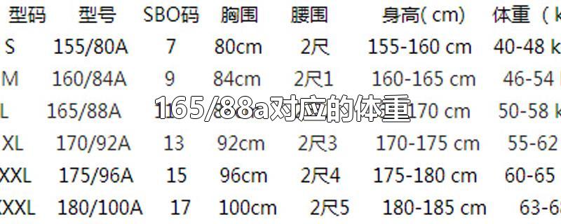 165/88a对应的体重/165/88a是什么意思适合多少斤的人