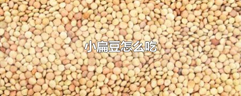 小扁豆怎么吃 小扁豆的功效与作用