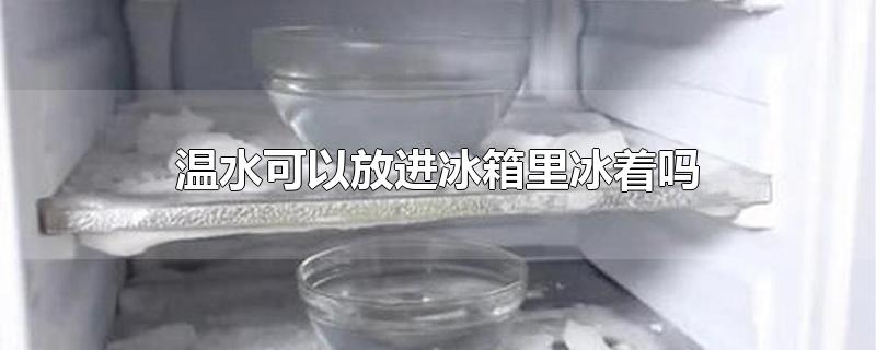 温水可以放进冰箱里冰着吗/温水和冷水放冰箱哪个先结冰