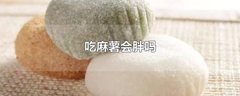 吃麻薯会胖吗 麻薯的营养价值与功效