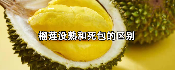 榴莲没熟和死包的区别/榴莲死包和没有成熟是如何区分
