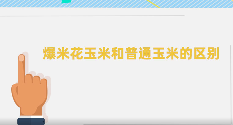 爆米花玉米和普通玉米有什么区别？普通玉米可以做爆米花吗？