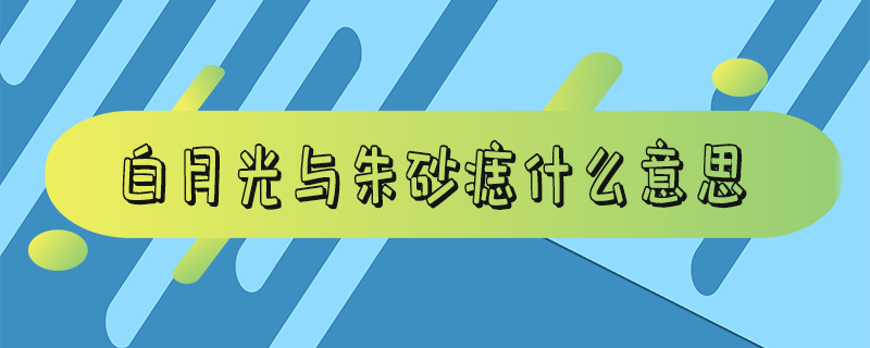 白月光与朱砂痣什么意思_白月光与朱砂痣歌词