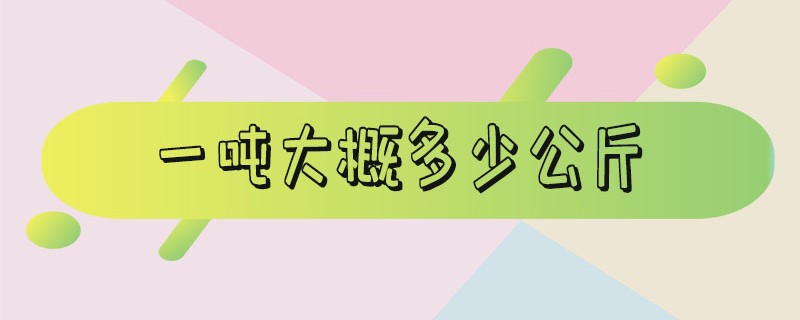 一顿大概多少公斤水（一顿大概多少公斤柴油）