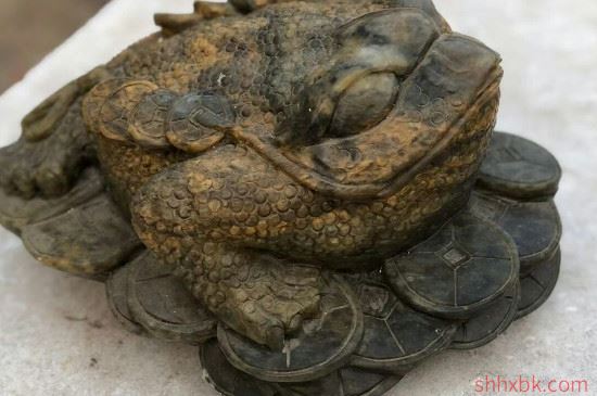 金蟾有什么风水作用 金蟾的寓意和摆放-图片2
