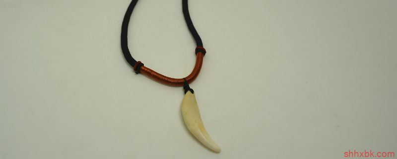 狼牙有什么讲究 狼牙忌讳什么东西-图片1