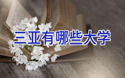 三亚有哪些大学