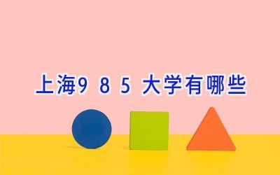 上海985大学有哪些