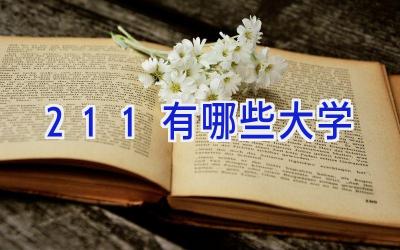 211有哪些大学