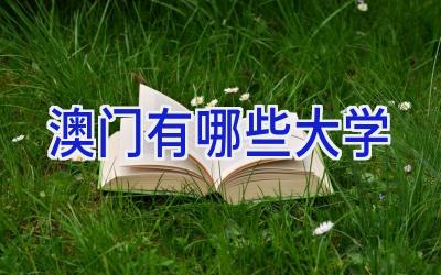 澳门有哪些大学
