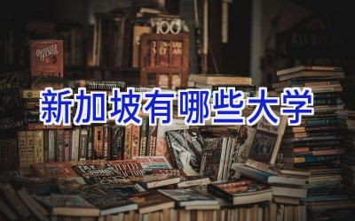 新加坡有哪些大学