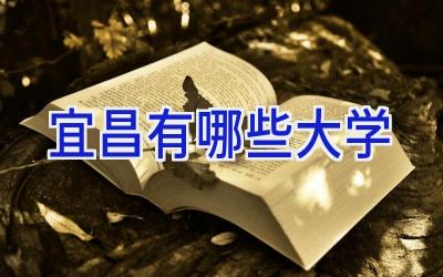宜昌有哪些大学