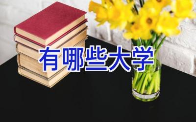 有哪些大学