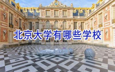 北京大学有哪些学校