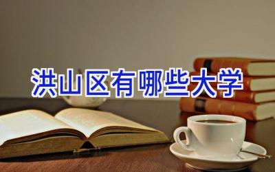 洪山区有哪些大学